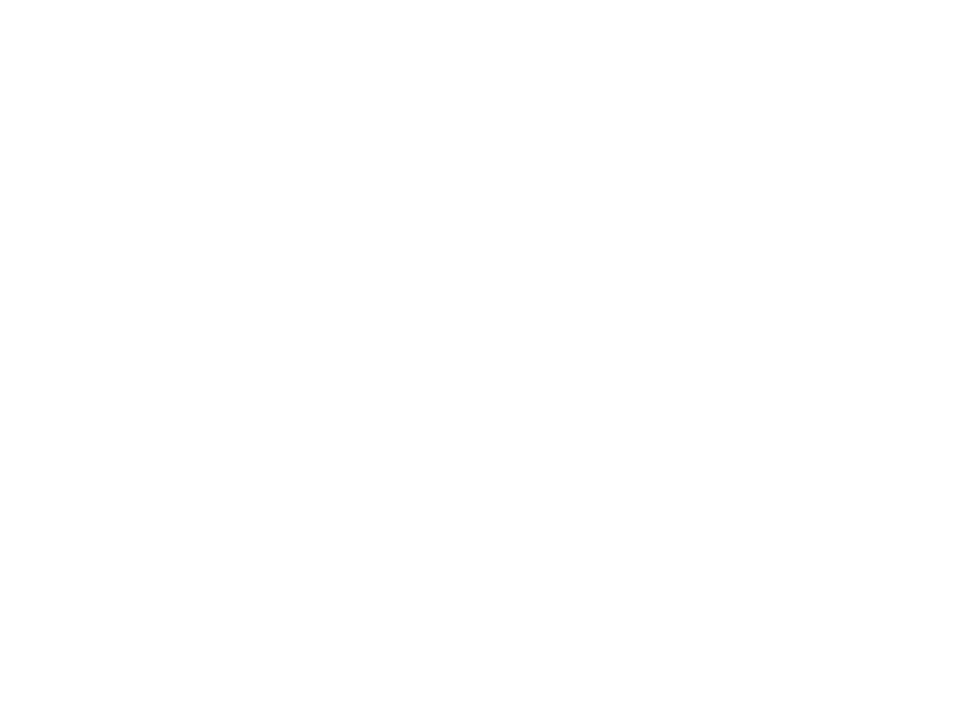 献丑 AI